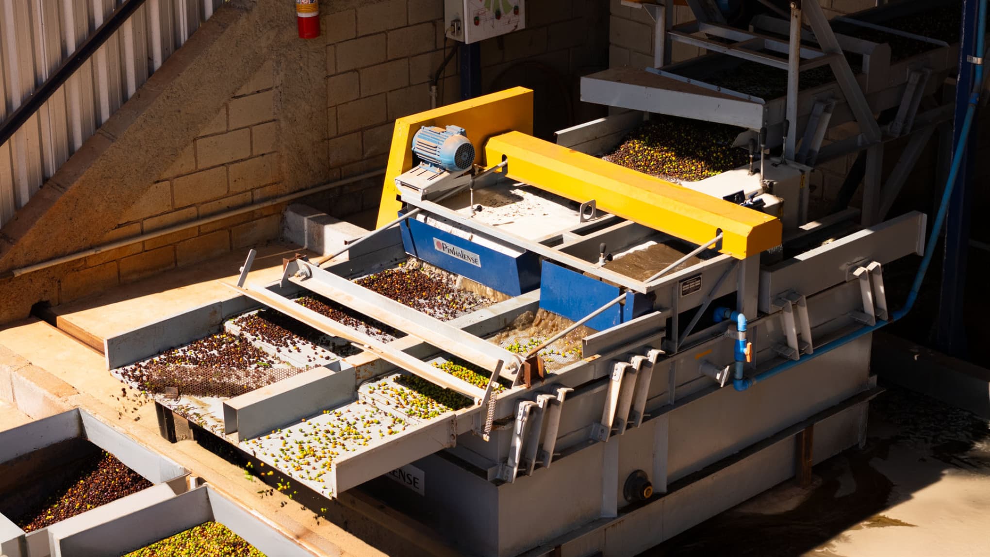 Lavador Separador de Cafe Pinhalense