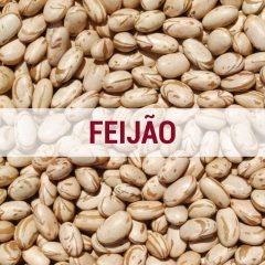 feijao feijao